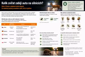 Bezpečnost: Kolik zvířat zabijí auta na silnicích: Oficiální čísla vs realita