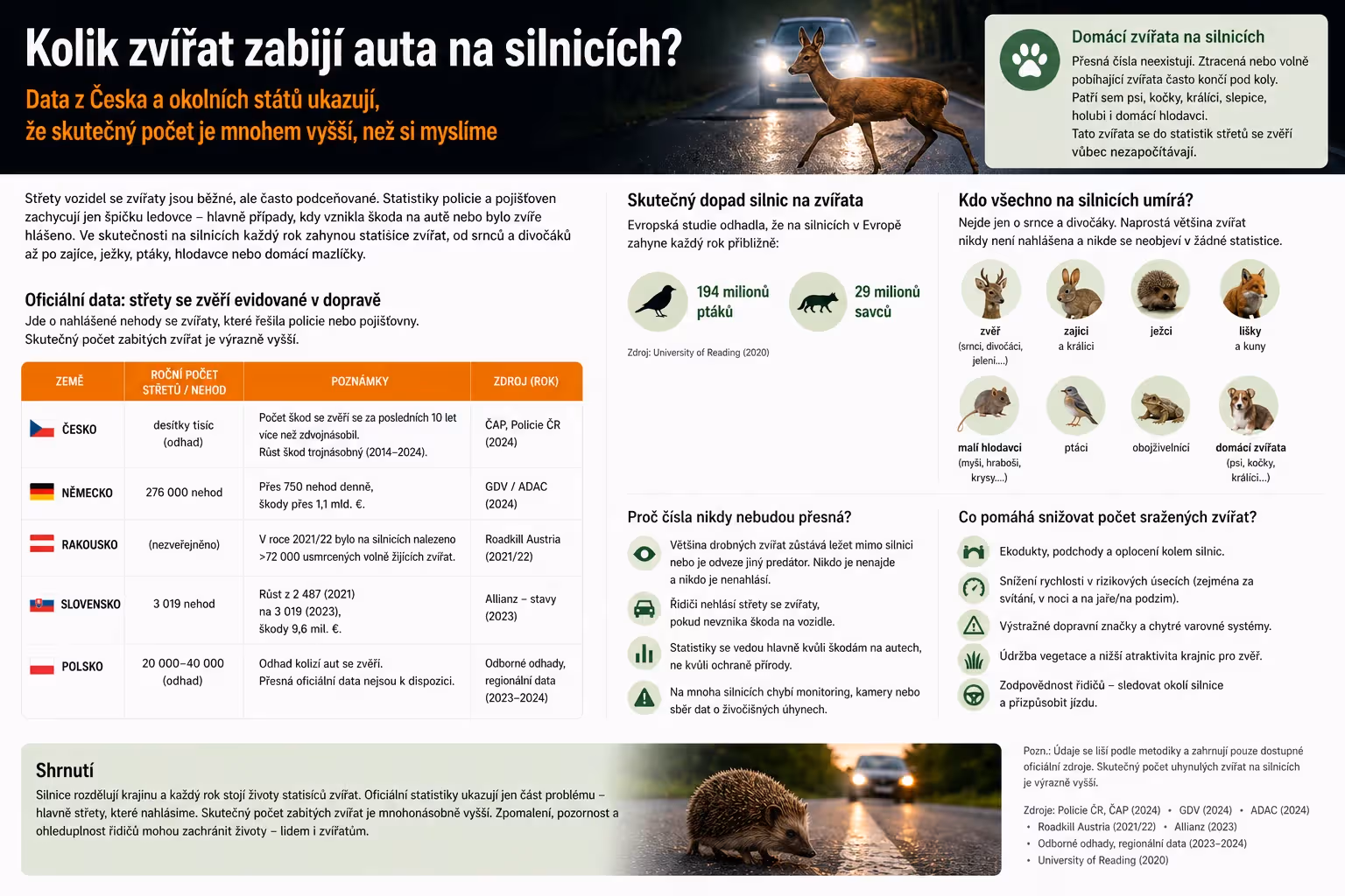 Kolik zvířat zabijí auta na silnicích? Oficiální čísla ukazují jen část problému