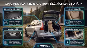 Nákup: Auto pro psa: Které ojetiny přežijí chlupy i drápy