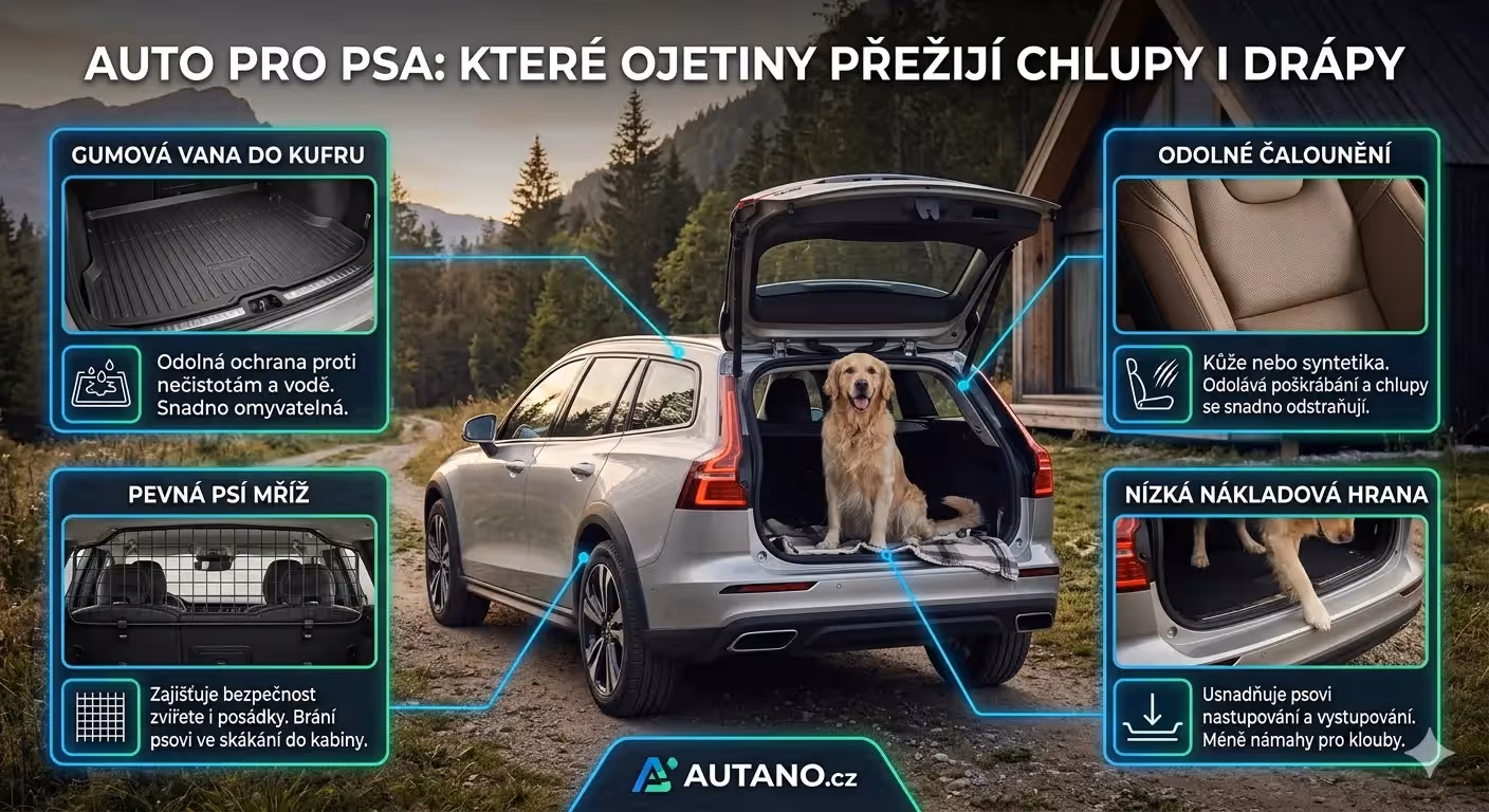 Auto pro psa: Které ojetiny skutečně přežijí srst, bláto a zuby