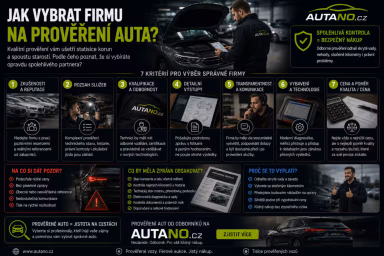 asistovaný nákup: Jak vybrat firmu na prověření auta?