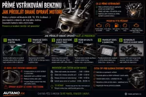 Benzin: Přímé vstřikování benzínu: Jak předejít drahé opravě?